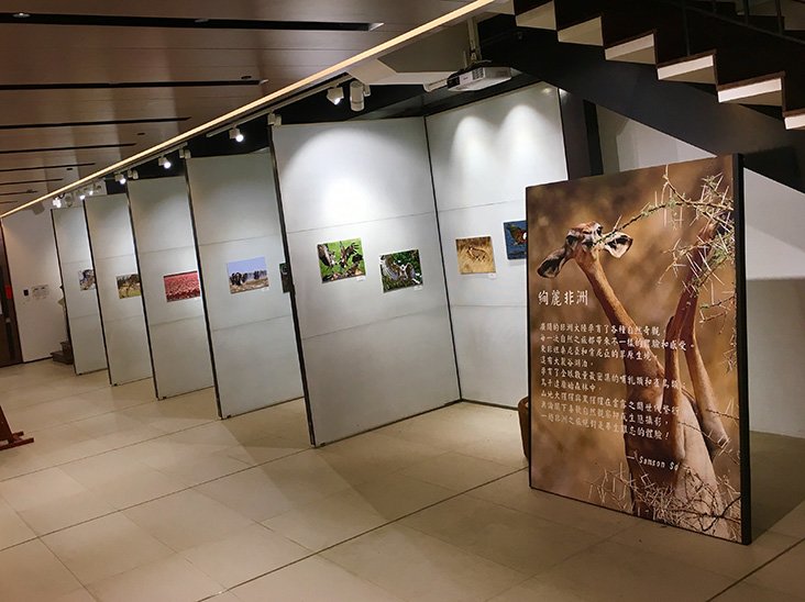 Exhibition_Gallery